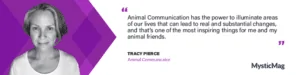 Deepening the Connection with your Animal Friends - An Interview with Tracy Pierce