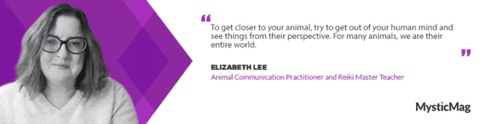 From Adversity to Animal Intuition: Elizabeth Lee’s Journey into Energetic Healing