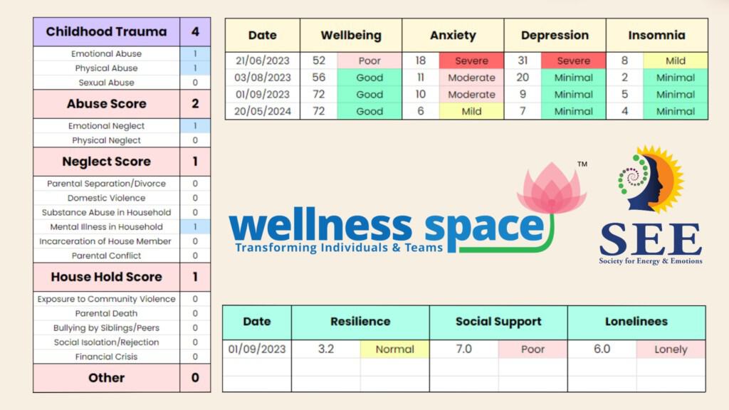 How does Wellness Space ensure the quality and effectiveness of its wellness programs?