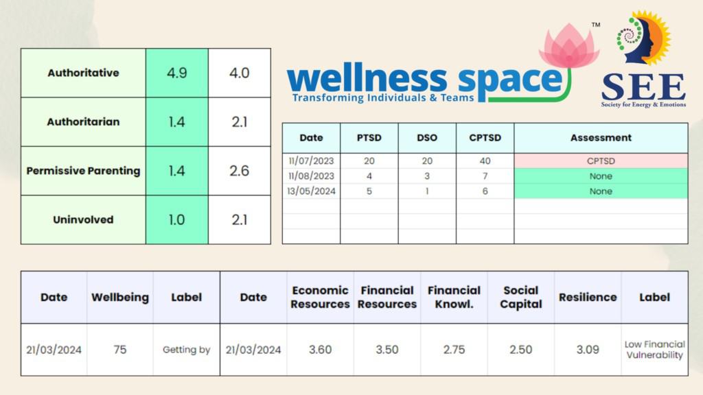 How does Wellness Space ensure the quality and effectiveness of its wellness programs?